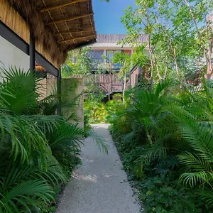 Luxury 2br Aldea Zama With Private Rooftop Plunge Pool 24 7 Security In A Gated Community Apartamento